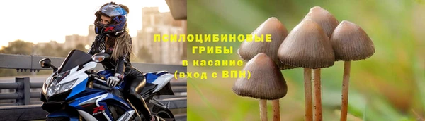 СК Заволжье