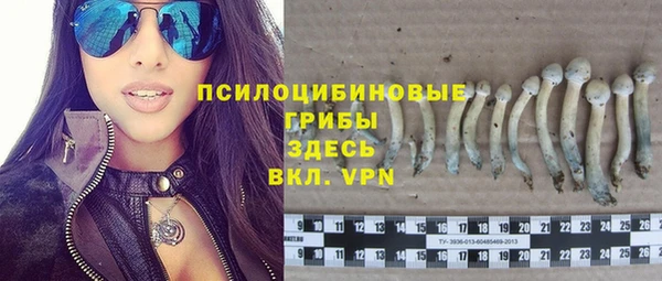 мяу мяу мука Заводоуковск